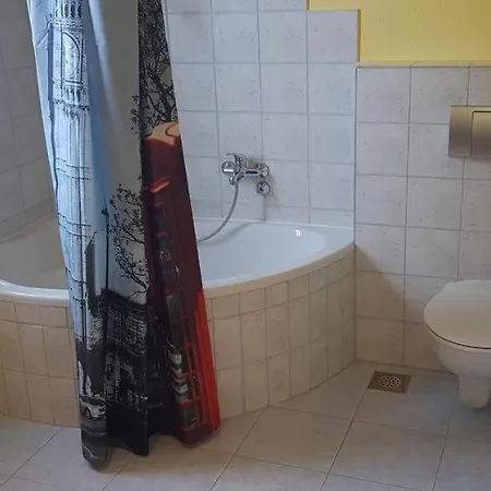 Apartman Roman Mandre Apartment Mandre